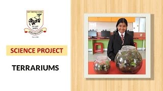 Science-project-Terrrariums
